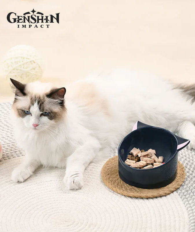 Scaramouche Cat Ceramic Pet Bowl