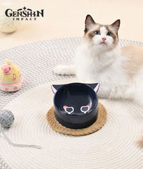 Scaramouche Cat Ceramic Pet Bowl